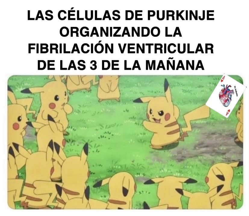 DAsdehis's tweet photo. Buena guardia a los que estén ahorita…🤣🫀⚡️ https://t.co/hFlaKftjav