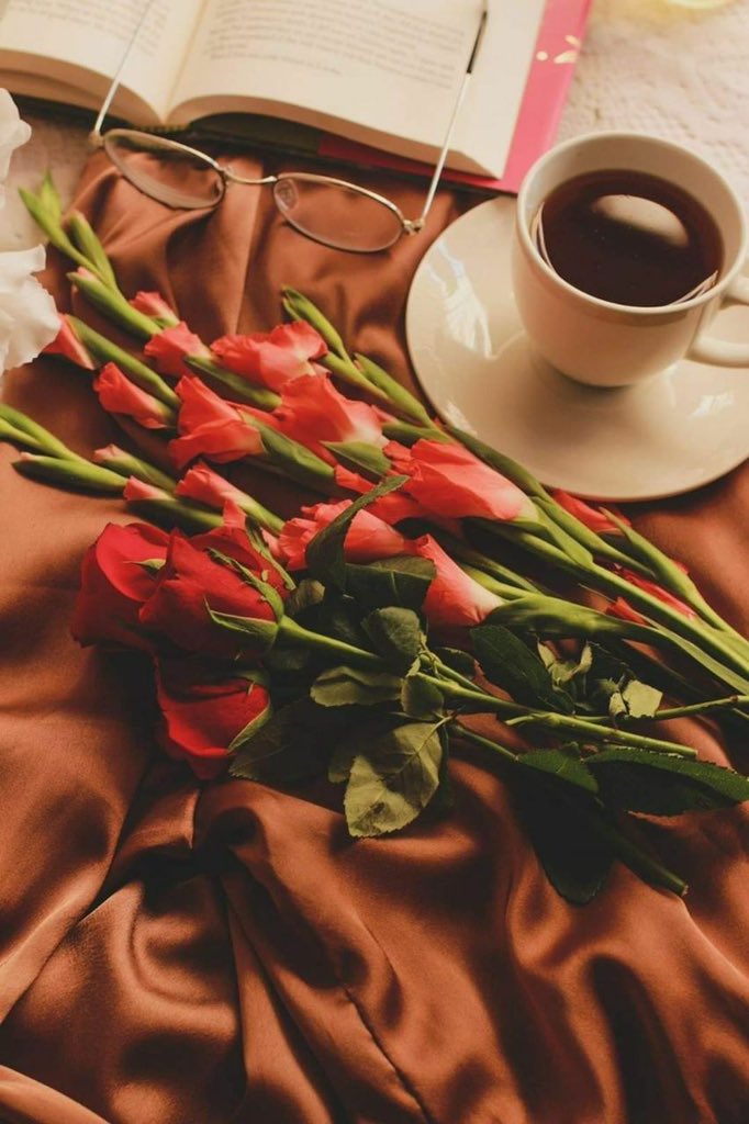 ما أجمل الصباح حين تهدى دعاء جميلا لأطيب الأحبة 
اللهم أرزقنا و أرزقهم سعادة الدنيا و نعيم الآخرة
🌹صباح النور والسرور🌹