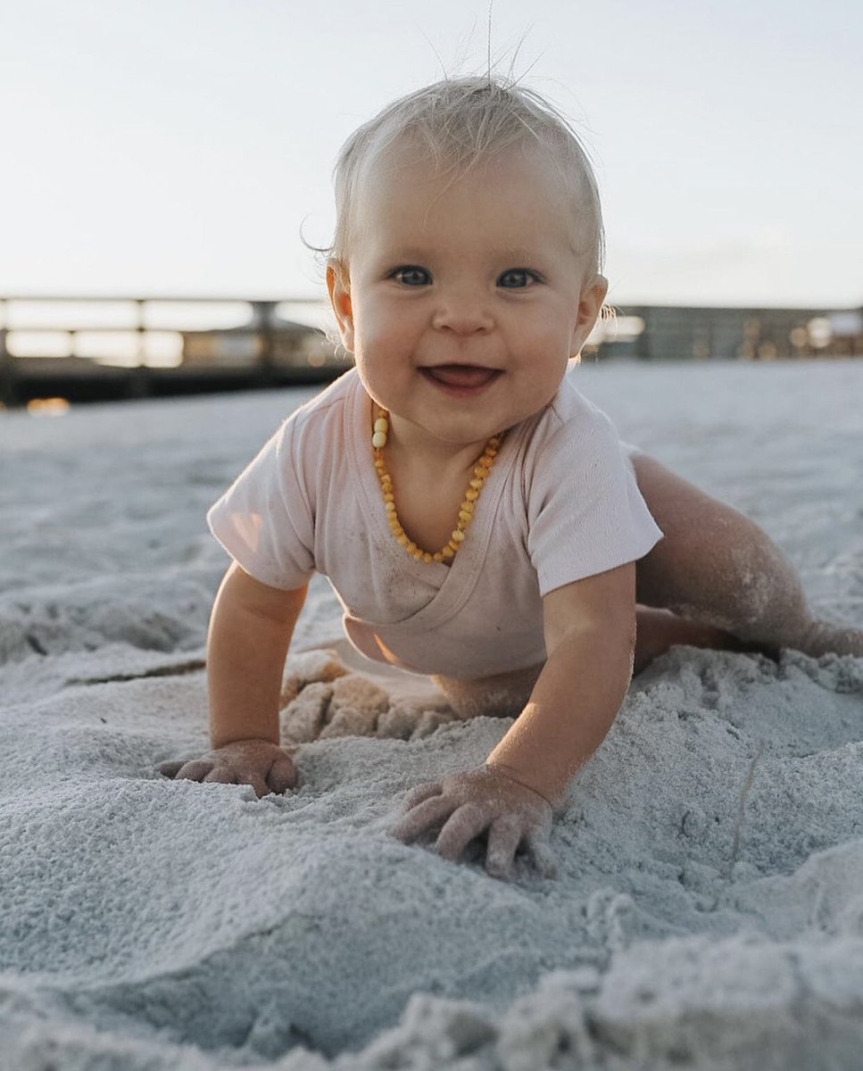 fomoPhil✳️ tweet media