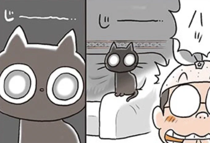 夜中に飼い猫に見られてしまった悪事とは? 『コロッケ!』でおなじみの樫本学ヴが描く黒ネコ漫画『うちのネコは飼い主に優しい。』は「週刊コロコロ」にて掲載中! https://www.corocoro.jp/episode/3270375685474930905 コミックス本もあります! 