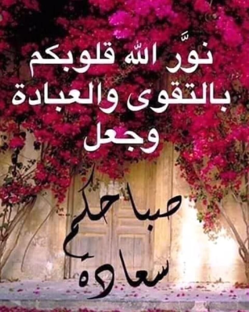 زوزة tweet media