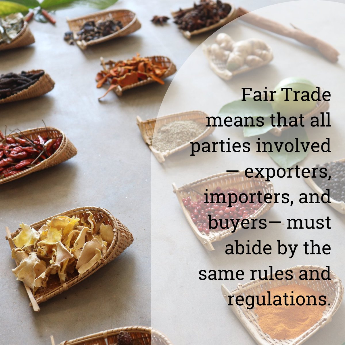 WFTO-ASIA tweet media