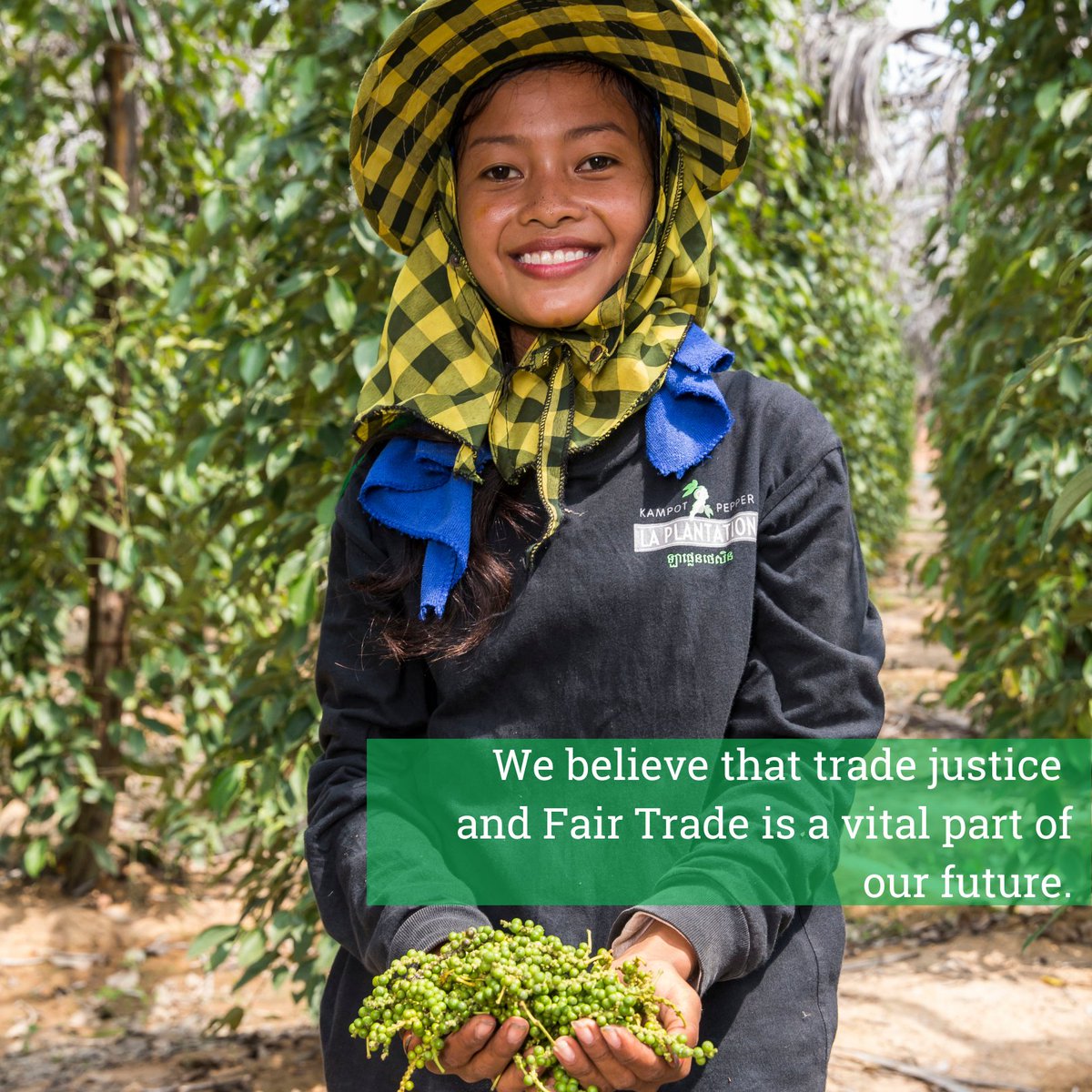 WFTO-ASIA tweet media