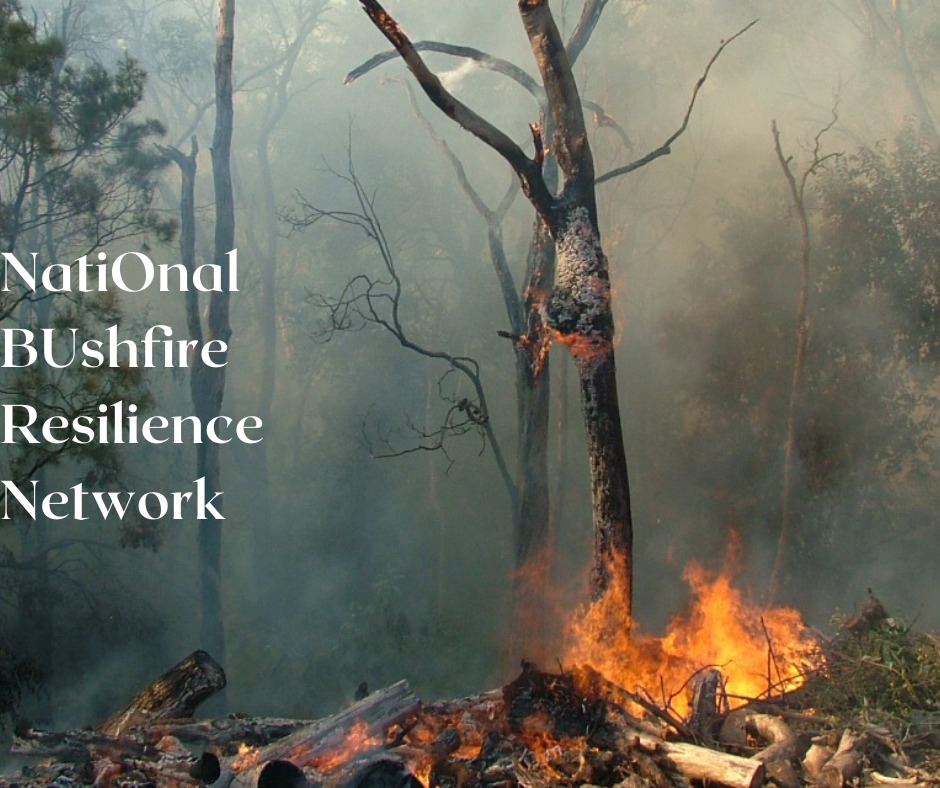 NOBURNUniSC's tweet photo. NOBURN stands for NatiOnal BUshfire Resilience Network. At #NOBURN, we acknowledge First Nations’ people who live alongside fire and developed complex fire management practices that complemented deep understandings of the country and landscape.  #UniSc #ForestResearch #MieLab https://t.co/b7LVJ291C4