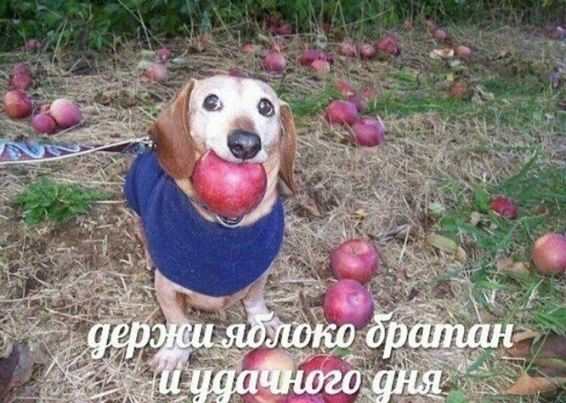 добрае утро лента всем харошего и прекрасного дня