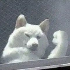DayGdday's tweet photo. https://t.co/LoN2vRacvU