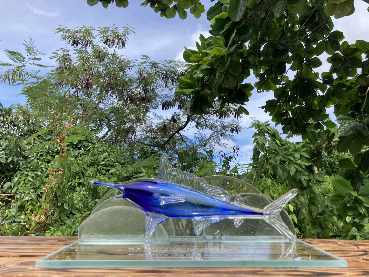 今日のフェルナンド・コロールとは誰ですか?