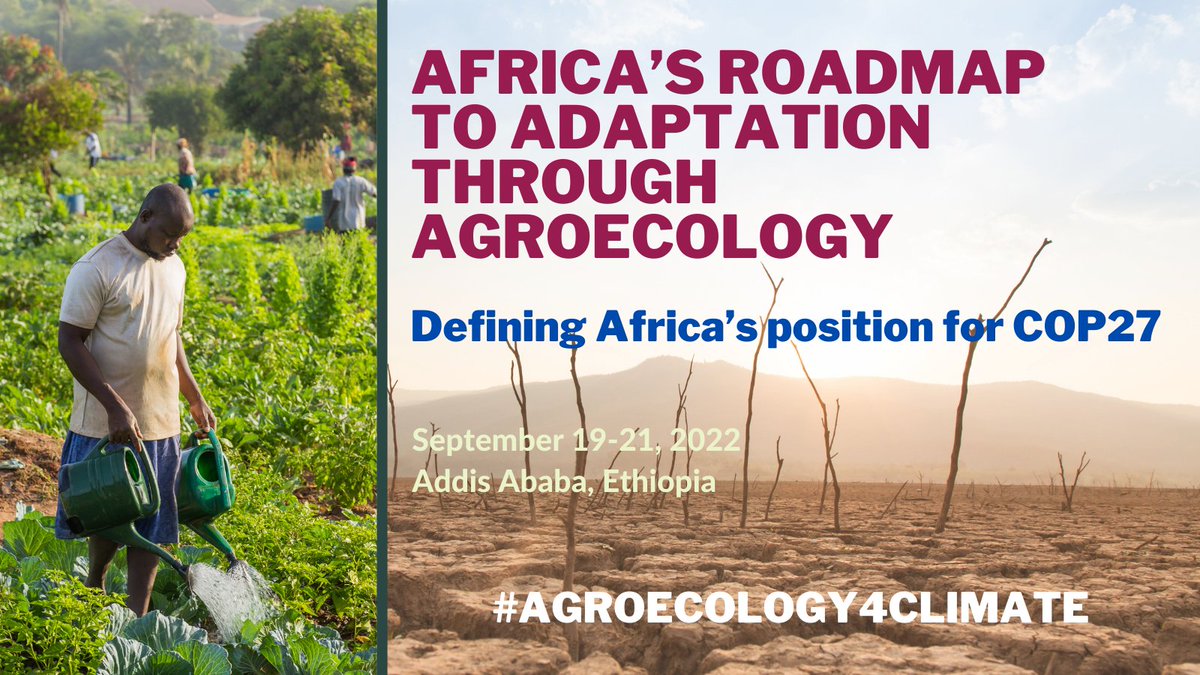 𝗔𝗙𝗦𝗔'𝗦 𝗖𝗟𝗜𝗠𝗔𝗧𝗘 𝗖𝗢𝗡𝗩𝗘𝗡𝗜𝗡𝗚 𝟮𝟬𝟮𝟮

We are excited to host a diverse range of African actors to Addis Abeba between September 19 and 21 to discuss AFRICA'S ROADMAP TO ADAPTATION THROUGH #AGROECOLOGY: DEFINING AFRICA'S POSITION FOR #COP27.

Don't miss a thing!