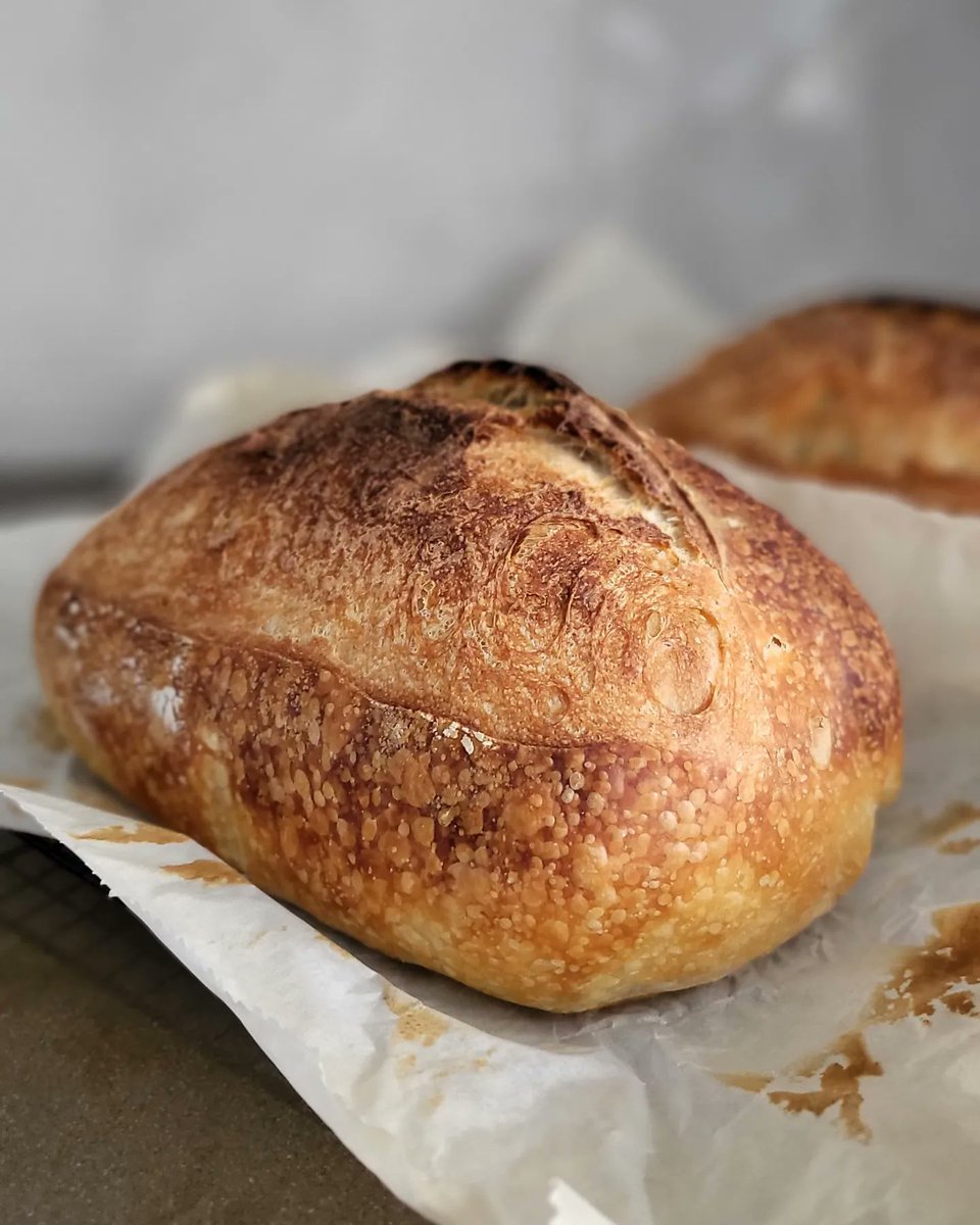crumbsprinkles's tweet photo. Naturally leavened with our sourdough starter Bread Pitt that we feed and love on every day since 2018; our loaves enjoy a long, liesurely fermentation in the fridge overnight before it is baked fresh every Thursday/Sunday morning while you sleep.

Ain't that special? 🥰 https://t.co/QDeiPVbUcC