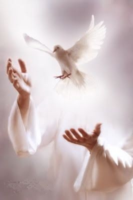 🕊️❤️★ OH  GOD! ★❤️🕊️

Enlighten what is dark in me . Strengthen what is weak in me . Mend what is broken in me .
 Bind what is bruised in me . 
Heal what is sick in me . 
Straighten what is crooked in me . Revive whatever peace &amp; love died in me . ★★🕊️❤️🕊️★★