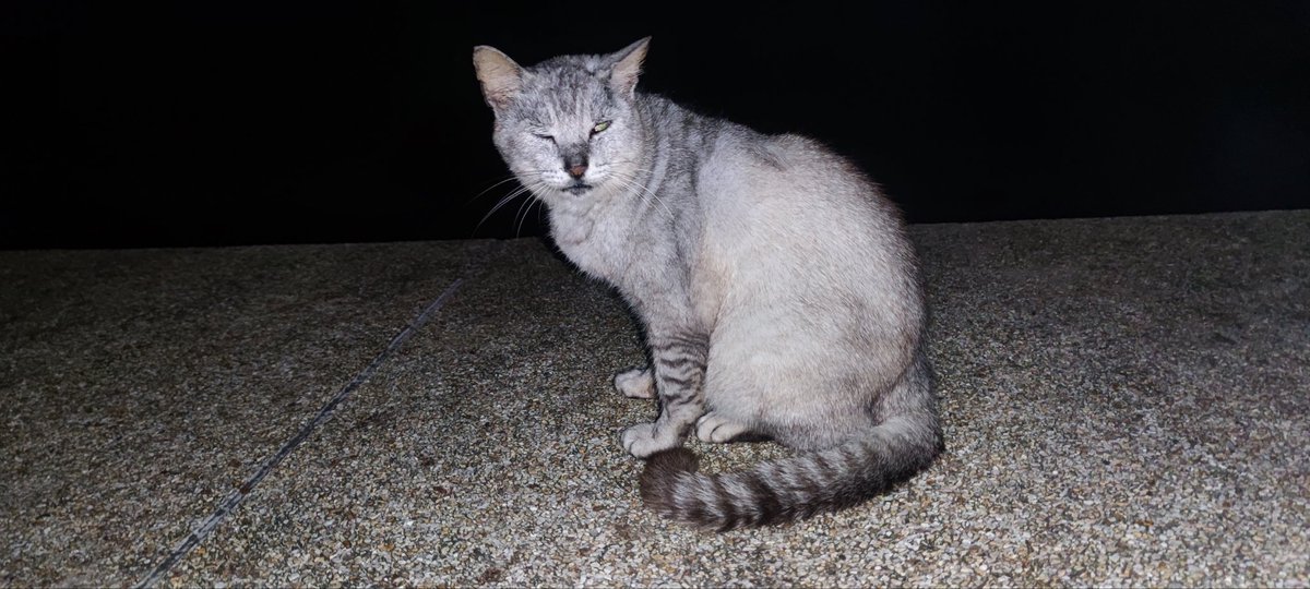 thugcat_B's tweet photo. บางที่ก็สงสัยว่าระหว่างเราคืออะไร
บางครั้งก็ทำตัวไม่ถูกพูดไม่ออก
ไม่มีที่ว่างพอให้เริ่มใหม่แล้วนะ
เพราะทุ่มให้แล้วหมดตัวหมดใจ https://t.co/qXexGFJVvi