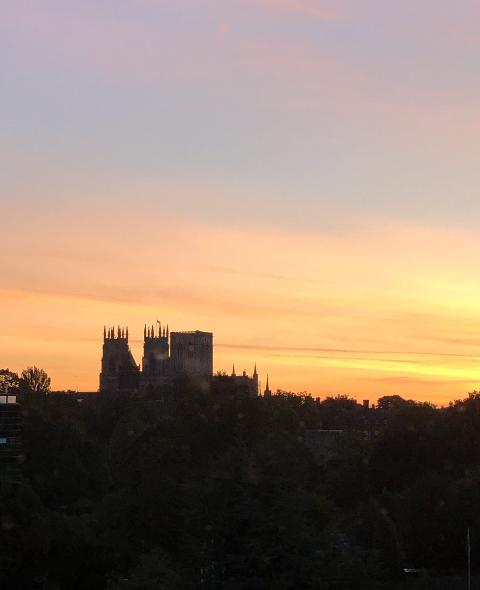 Not a bad view to start my day #york #yorkminster #morning