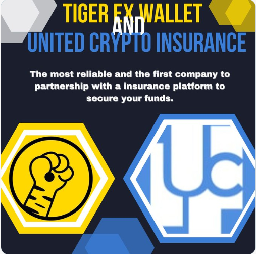 UCIagency's tweet photo. Wanted to achieve stable income? Here is the best choice of investment. UCIsafe guarantees 1 win/day for their investors when they take part in TigerEx Fast Future Contract. Interested to join? Kind join this link and have your account registered:
 https://t.co/4GmZOYy62Z https://t.co/hNYOiVTYEz