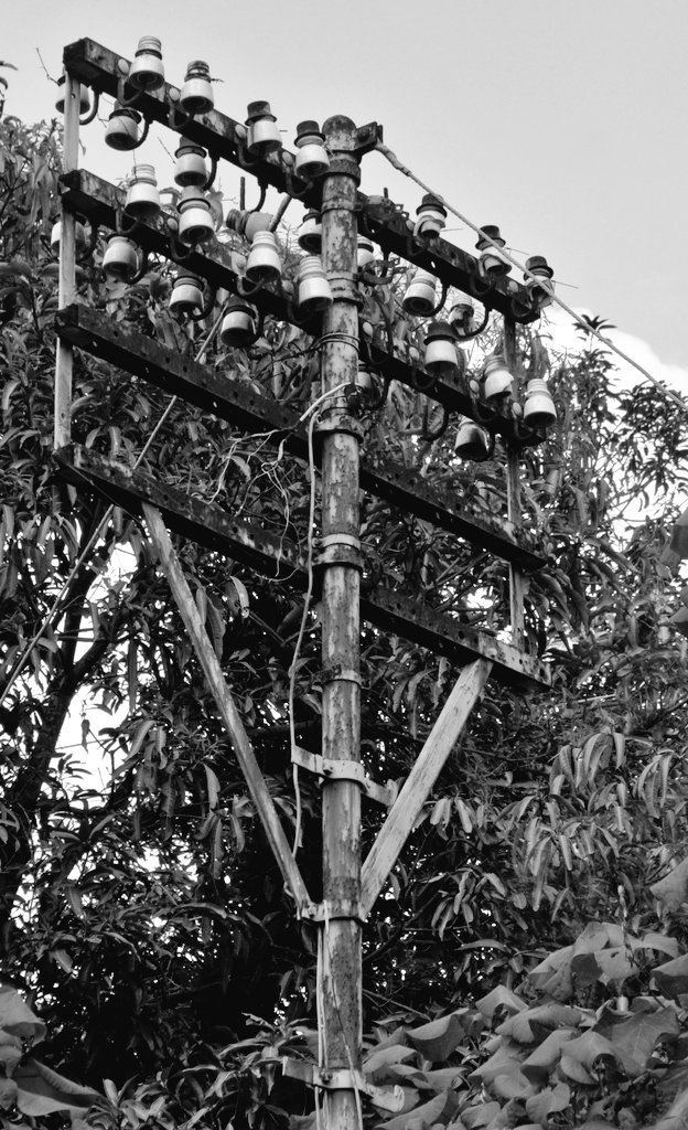 whatspowerlines's tweet photo. Sisa-sisa powerlines peninggalan Belanda di kompleks PLTA Timo.
.
#tianglistrik
#utilitypole
#distributionlines
#powerlines
#日常の風景にある電力
#電線
#電力線
#配電線
#配電
#高電圧
#電柱
#電信柱
#古い電柱
#電柱電線
#碍子
#strommast
#insulator
#linejunk
#linetrash https://t.co/pbYOpZee24