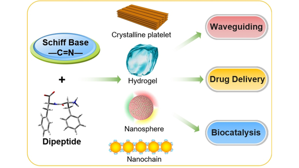 angew_chem's tweet image. #SchiffBase Mediated Dipeptide Assembly toward Nanoarchitectonics (Li) @UCAS1978 #AngewandteReview onlinelibrary.wiley.com/doi/10.1002/an…