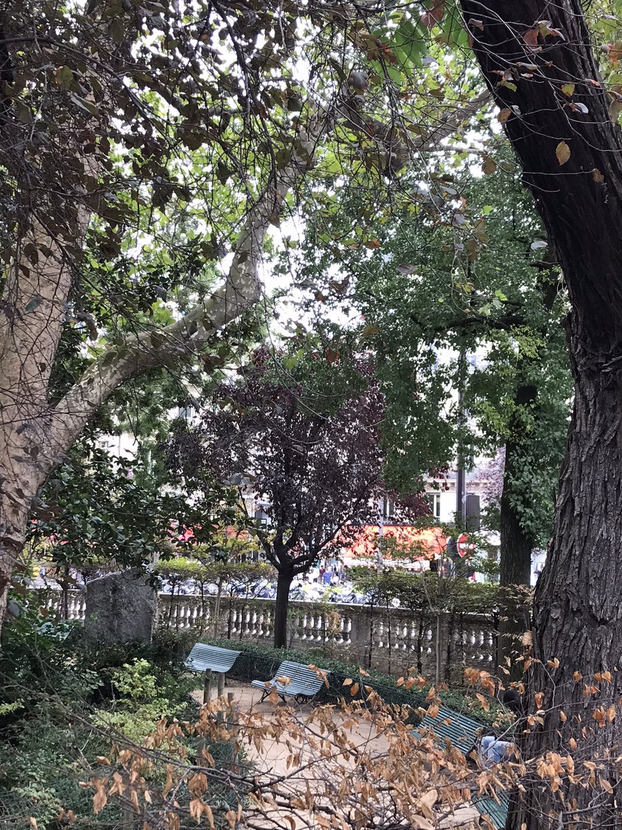 ipekinciipek's tweet photo. Özlüyorum lezzetlerimizi ama adım atamıyorum , Boğazıma dizilecek gibigibii 🇹🇷♥️ #EylüYağmurları ile Öğlen den #Merhabaa oralar 🙋🏼‍♀️🍂 https://t.co/SiIjSgkGcN