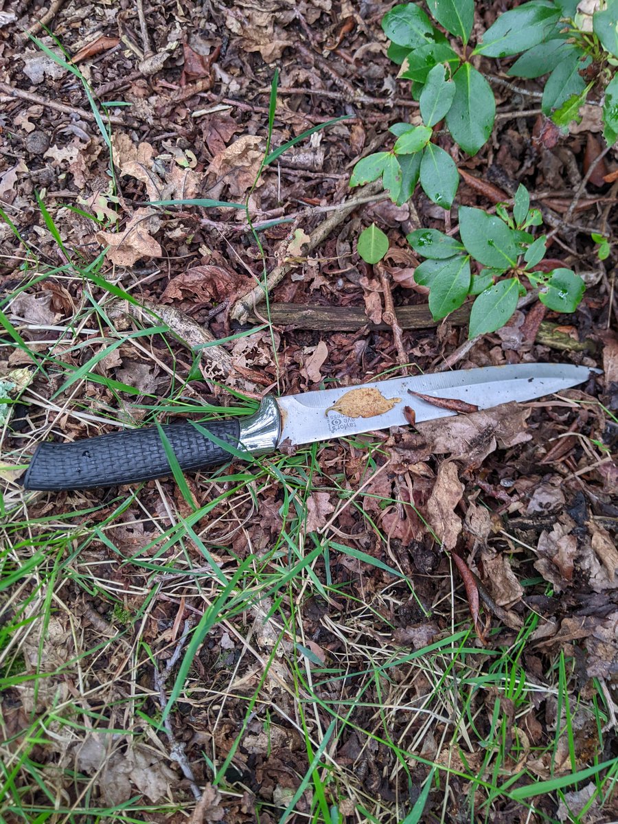 dismantledgrrl's tweet photo. @theroyalparks Massive knife found in Isabella plantation https://t.co/18tGW7ZNpe