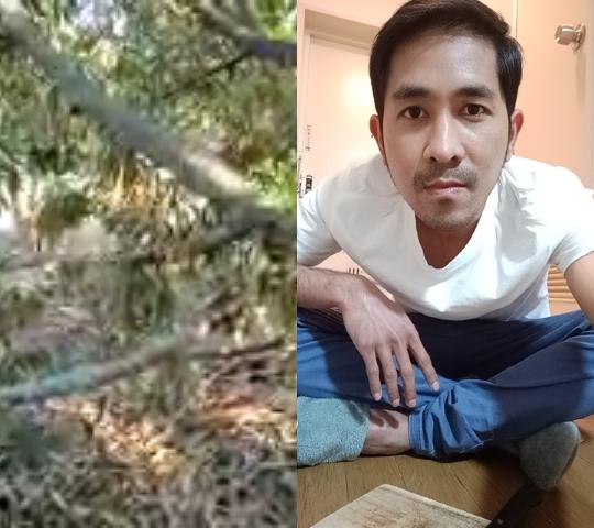 農業の知識🌱🌱