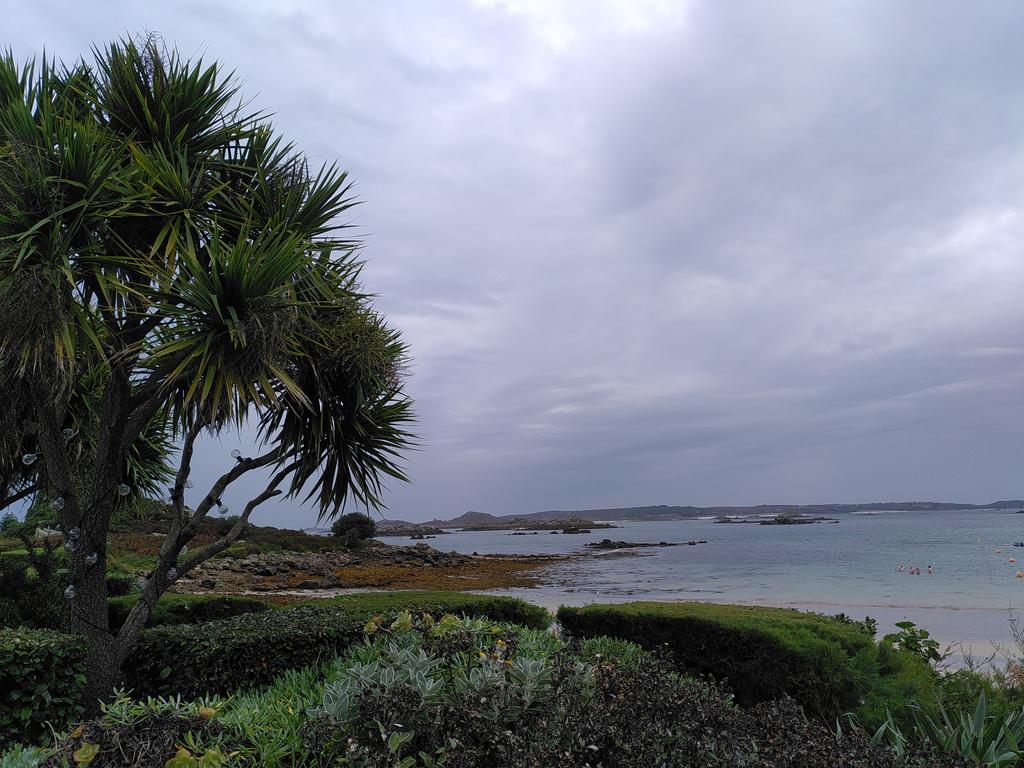 nora_mare's tweet photo. Good morning #Tresco. Just waiting with a cup of coffee for low tide #historicalSWkelps #ScillysFieldwork βποΈπ https://t.co/tdz06jgH0S
