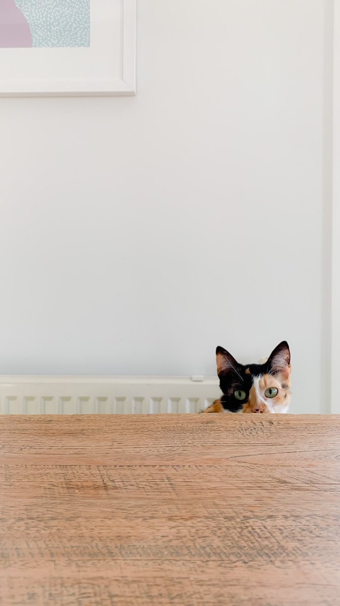 Gm Queens and Kings ❤️

Have a great day