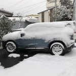 ツイートに含まれる画像