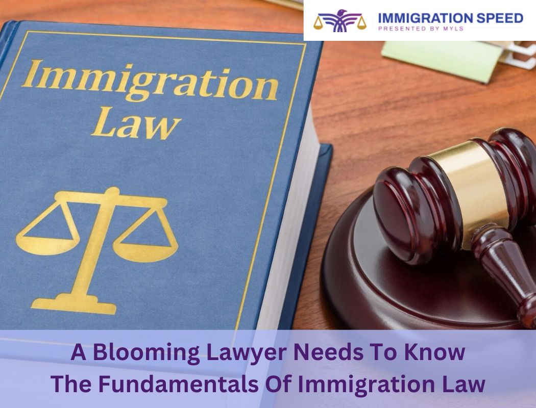 mylegalsoftwar's tweet image. A Blooming Lawyer Needs To Know The Fundamentals Of Immigration Law

U.S. immigration software can affect large and small organizations alike. In this firm, lawyers are familiar with immigration law due to client demands.

Click now: bit.ly/3DlaRyH

#immigrationsoftware