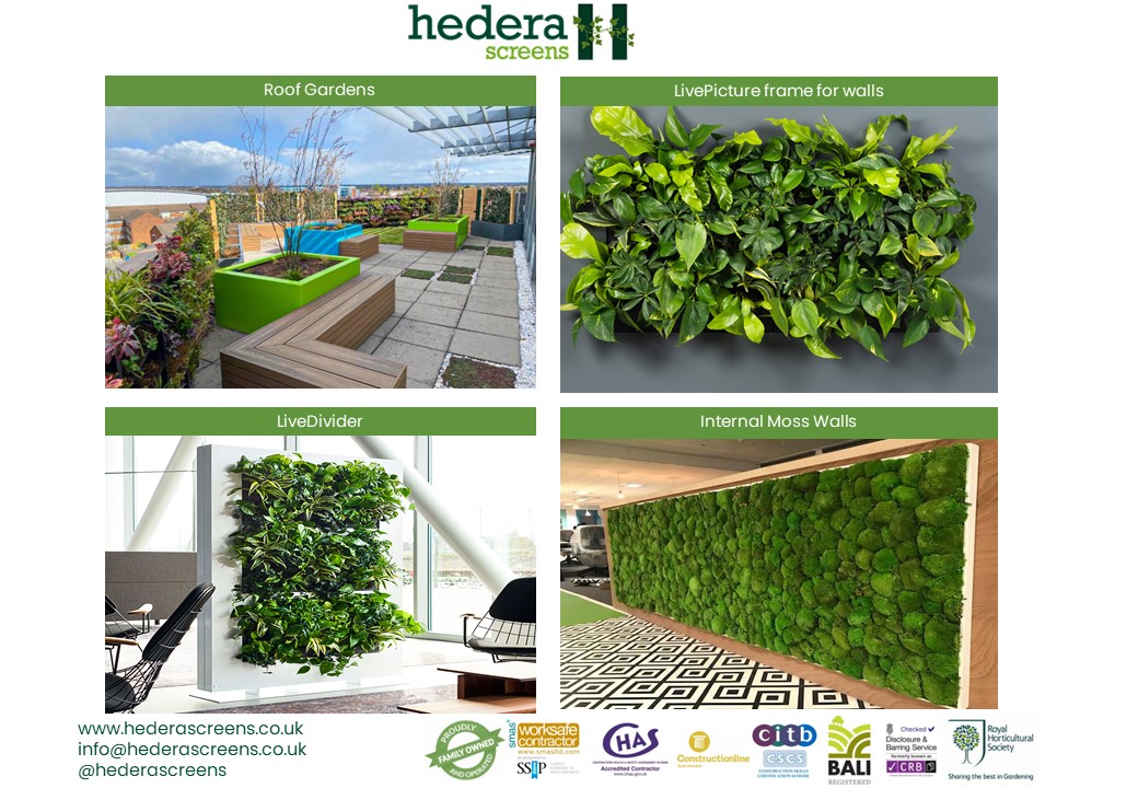 Contact us for a 360° service, backed by a 100% family business. Start your journey to a greener, healthier future, creating our own examples of #TheLine #NEOM in the UK. hederascreens.co.uk

#urbangreening #buildbackgreener #growbackgreener #netzero2050 #CleanAir