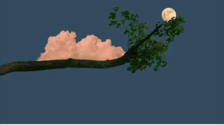 السلام عليكم ورحمة الله وبركاته 

مساء النور والسرور ...💜❤️💚
يا أحبابي الغالين...🍃🌸