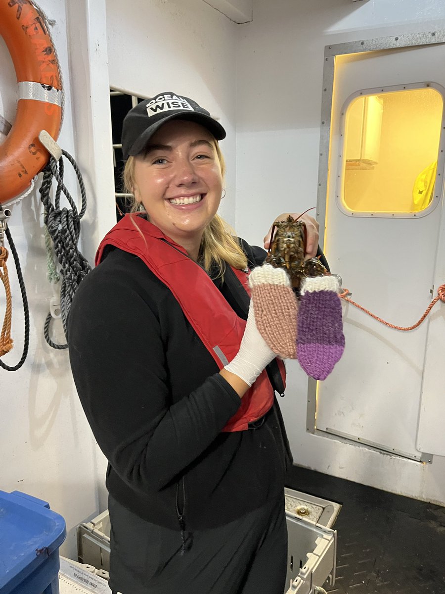 ACzenze's tweet photo. the next big trend this season: lobster mittens 🦞 https://t.co/6ymcn55ehf