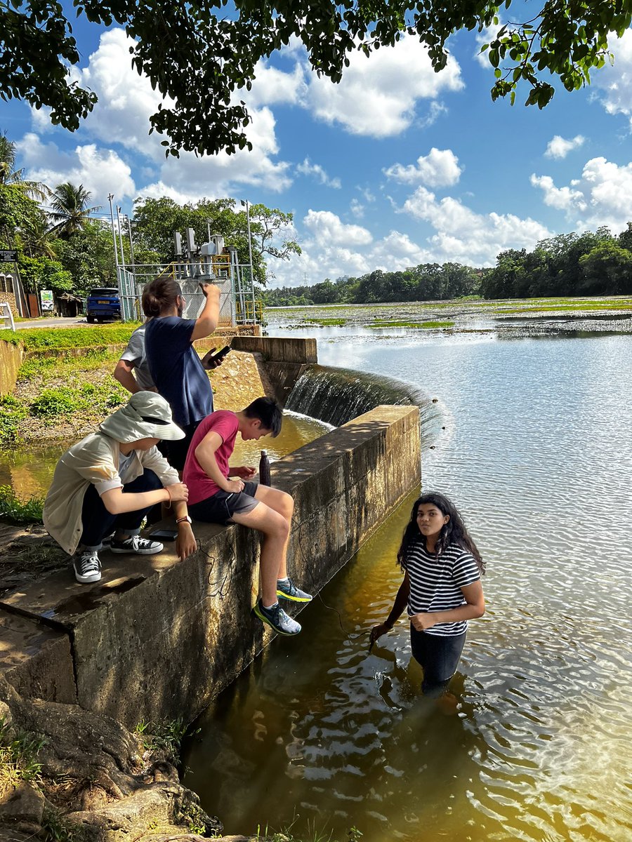 IanLockwood9's tweet photo. DP2 Environmental Systems returned to Talangama Wetlands to collect water quality data along a gradient (the spill area). They really got into the study…#TheOSColombo https://t.co/WIPZSZIbvz
