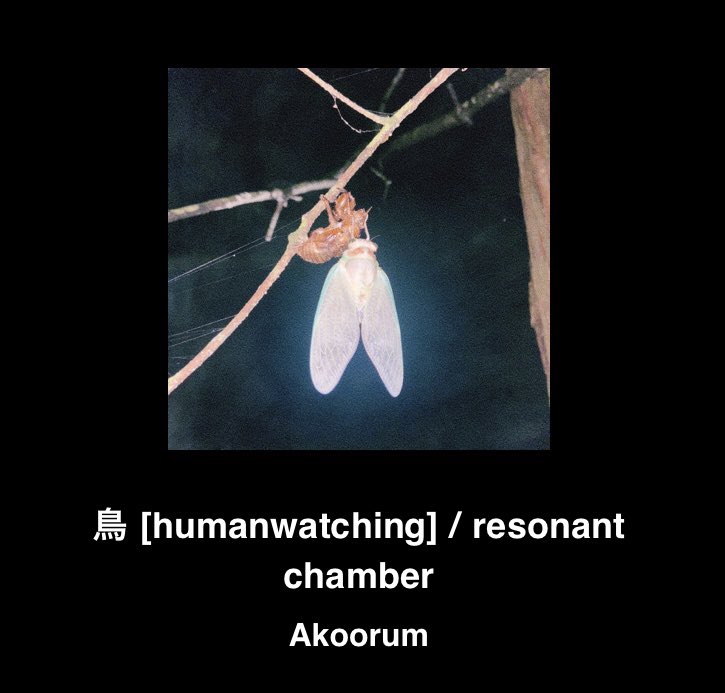 明日、9/14/00:00
ニューシングル鳥(humanwatching) / resonant chamberの二曲がリリースされます。
お楽しみに