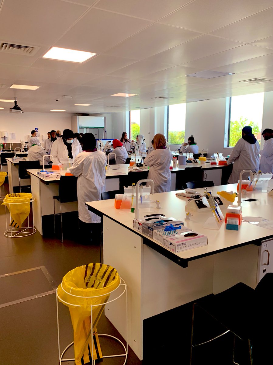 bcubms's tweet photo. Excited to see some of the new students in the lab! @BCUHELS #IAMBCU https://t.co/KNtaCQ78xL