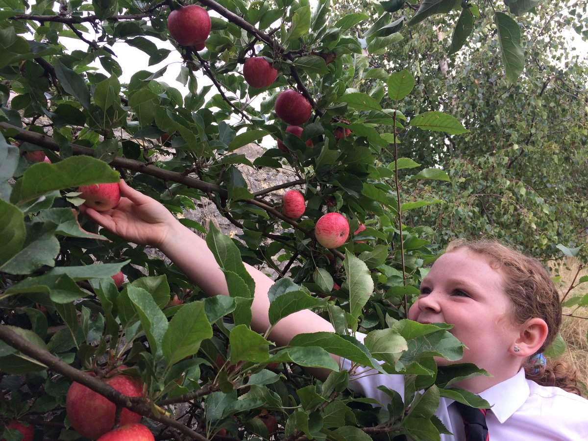 Ysgol San Siôr tweet media