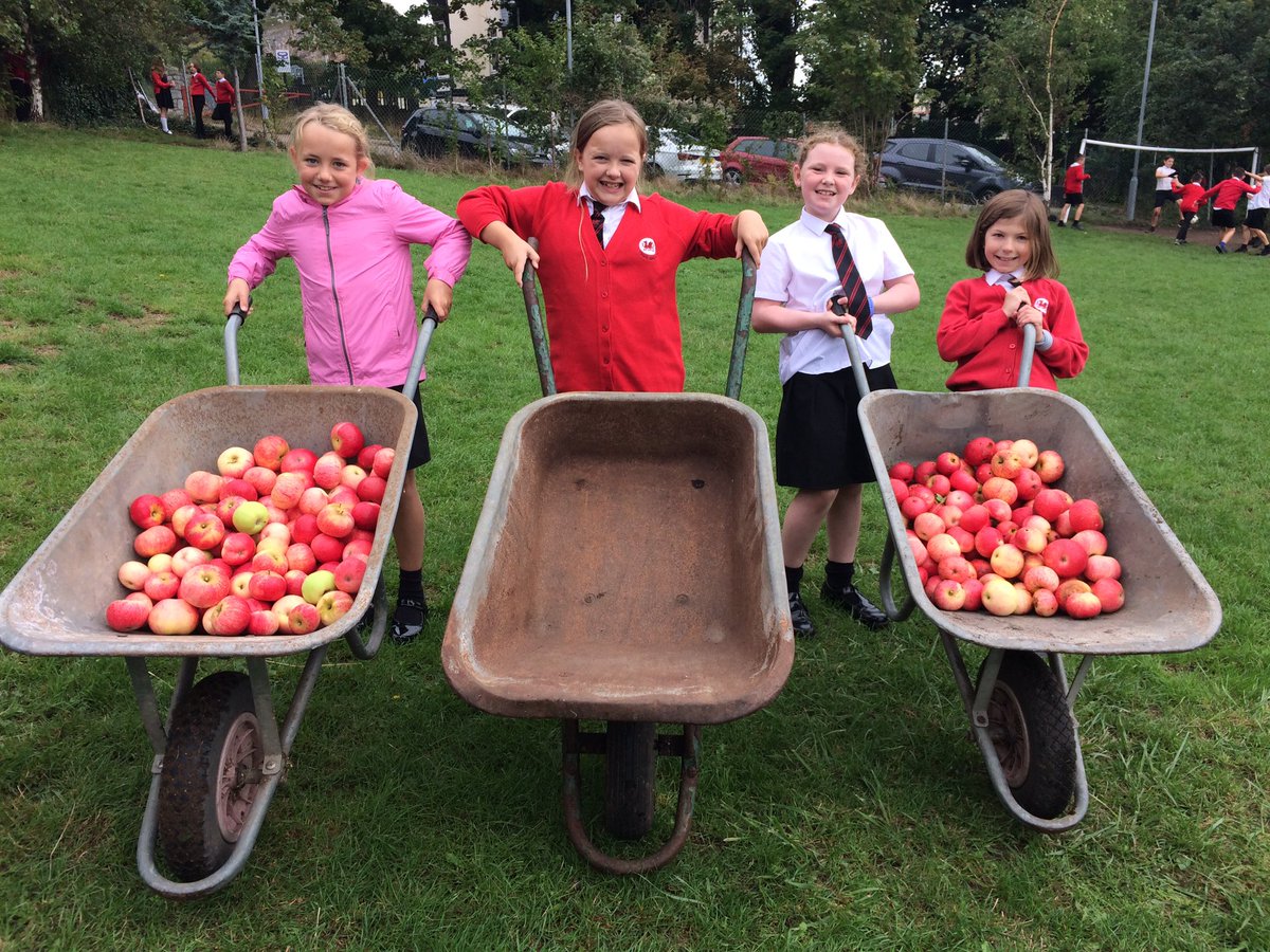 Ysgol San Siôr tweet media