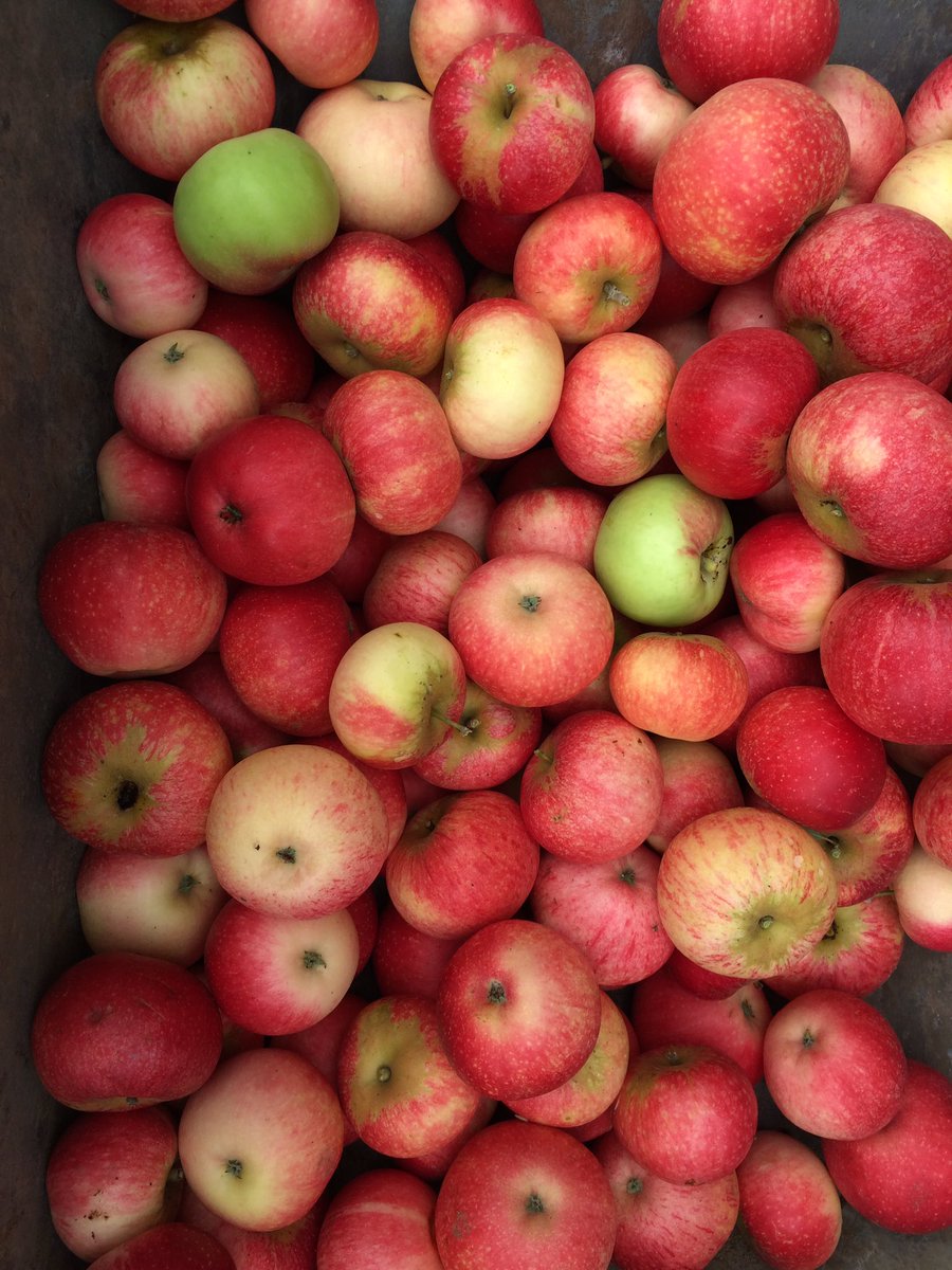 Ysgol San Siôr tweet media