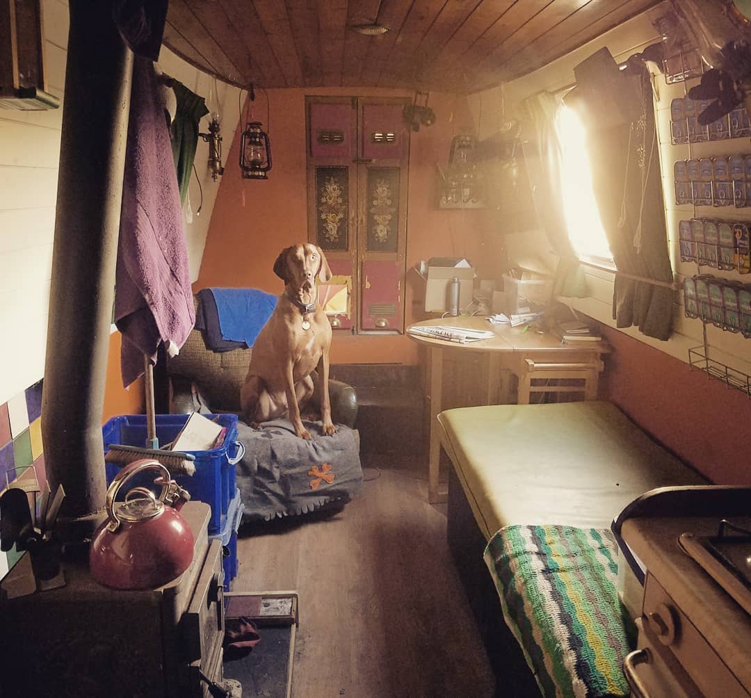 Benjamin Ranyard tweet media