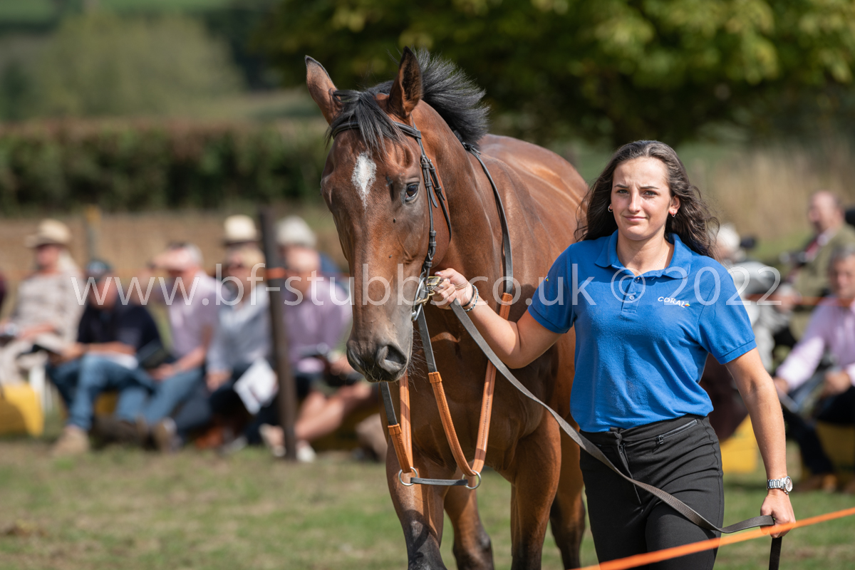 BF_Stubbs's tweet photo. Many thanks to @TizzardRacing, family, and team for a wonderful Owners' Day on Sunday. Fabulous horses in great condition looking smart - a credit to their grooms. Check out https://t.co/cMcXLDhEwU for links to more pictures from the day. #TeamTizz #TizzardRacing #JoeTizzard https://t.co/iuoGx6FDK6