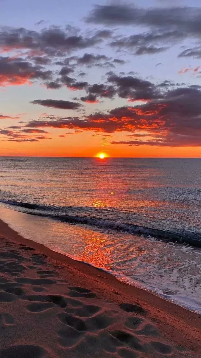 iteyoupone's tweet photo. golden hour 💛🧡 https://t.co/3zXrwokNzi