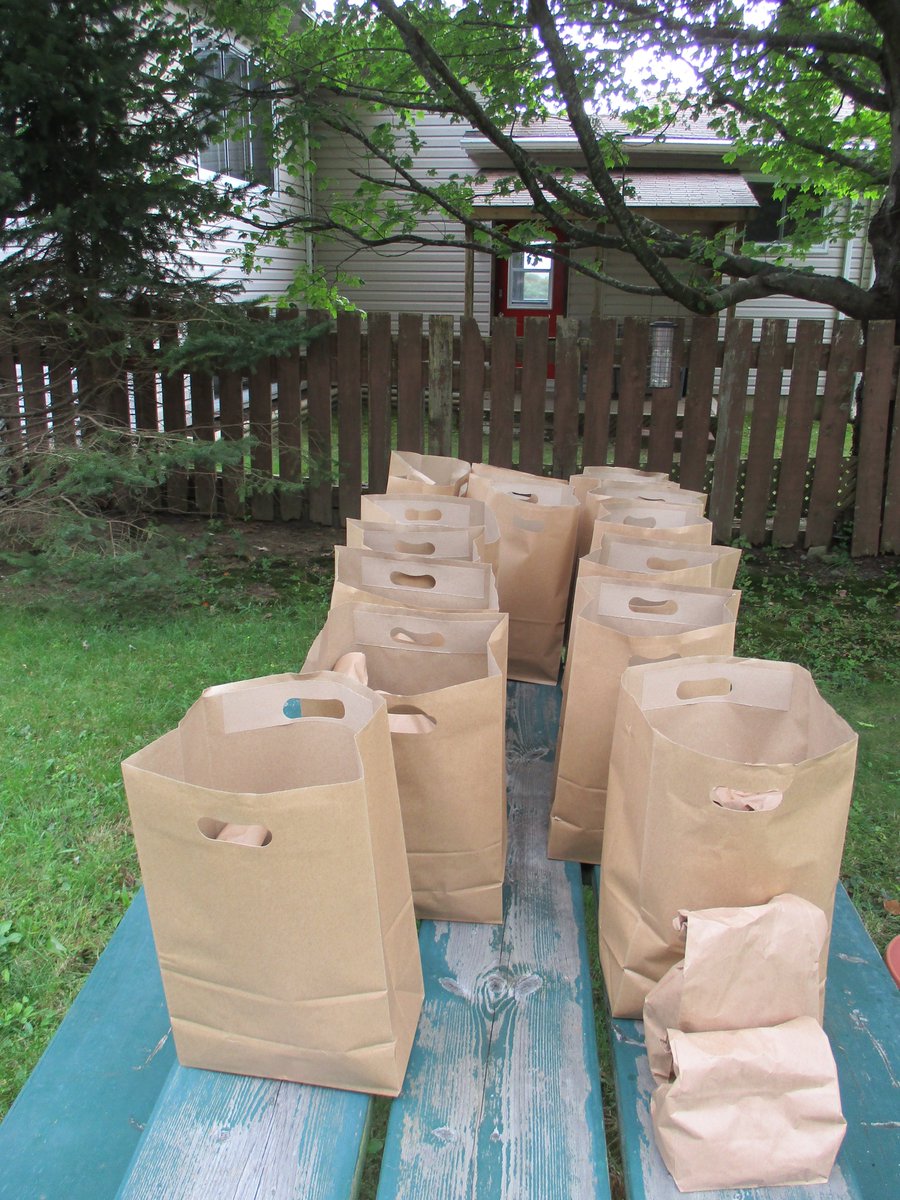 TakeActionGroup's tweet image. Thanks to the Support from @welldartmouth More Families received Fresh Veggies on their Stoop from the "Dirt to Doorstep" Project! 🤗