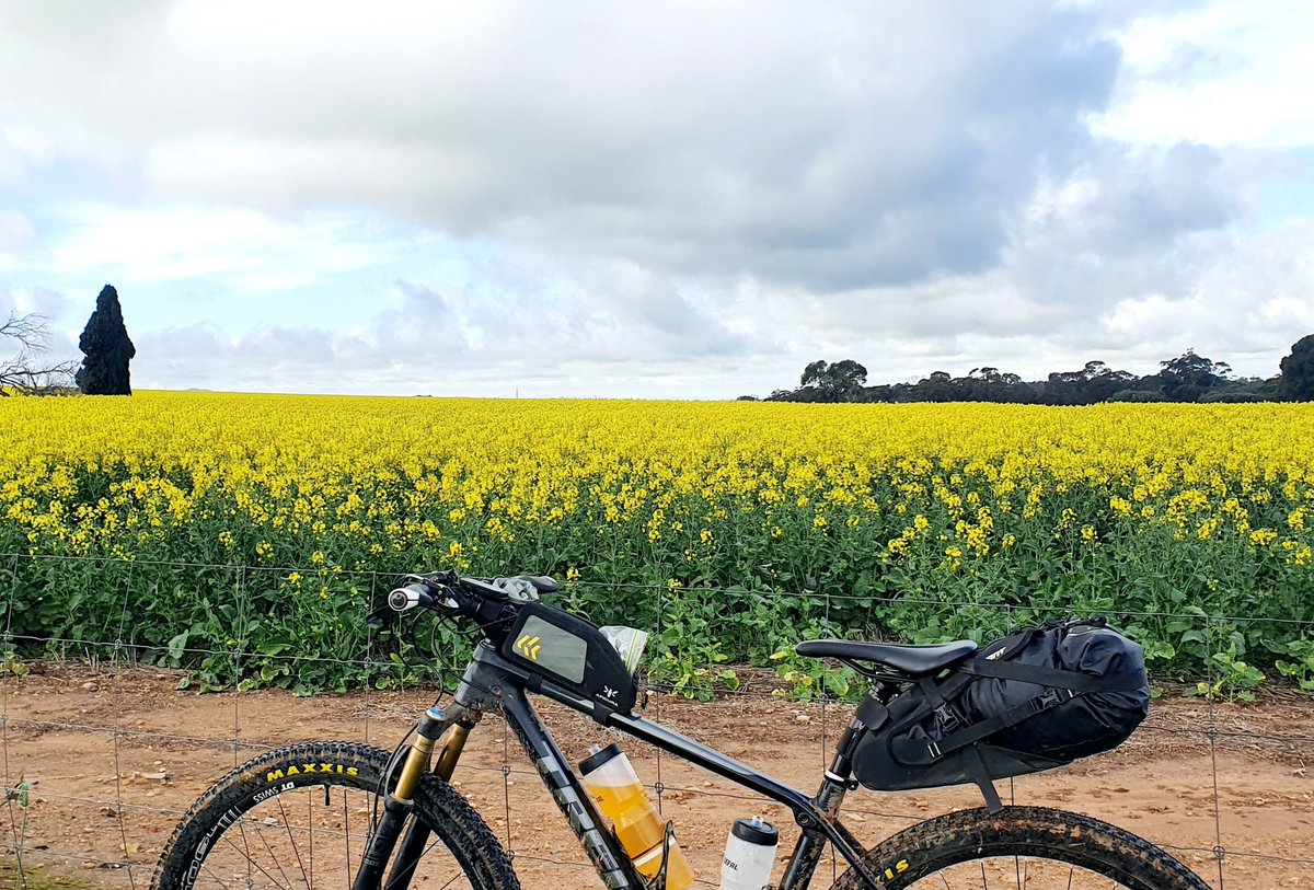 megdog77's tweet photo. @MeganHughes20 @ABCaustralia No need to cross the fenceline, lean bike, step back and take photo #mawsontrail #outsideisfree https://t.co/RCnpqWGfPU