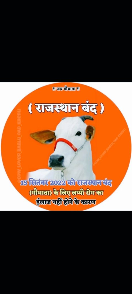 Shersin20868225's tweet image. 15 सितंबर 2022 को राजस्थान बंद
गौ माता के लिए लंपी रोग का
ईलाज नई होने के कारण
(राजस्थान बंद) राजस्थान बंद 
जय गौ माता #savevillage #SaveCowSaveRajasthan #SaveCowSaveIndia @PMOIndia