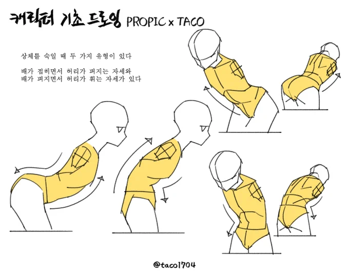 상체를 숙일 때 두 가지 유형이 있다 
배가 접히면서 허리가 펴지는 자세와 배가 펴지면서 허리가 휘는 자세가 있다 