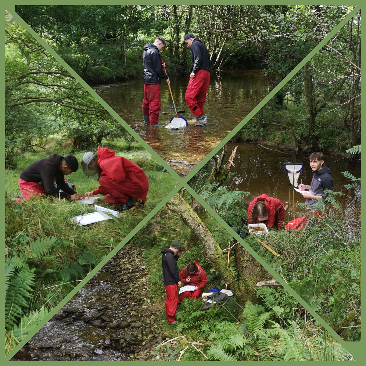 Balerno HS Science tweet media