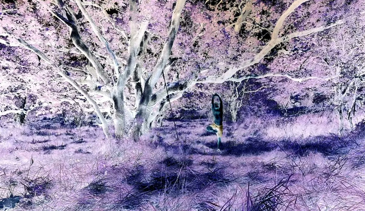 #yoga in #nature #forest #photography #man