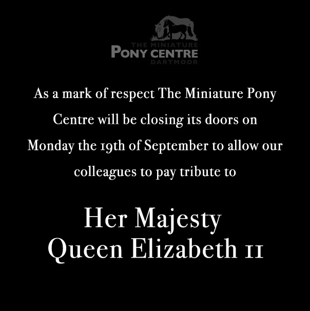 MiniPonyDevon's tweet image. 🖤

#godsavetheking