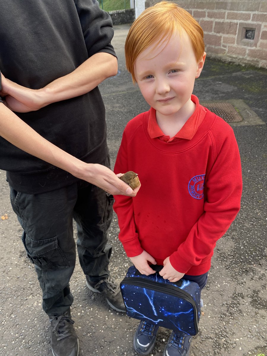 Muthill Primary School tweet media