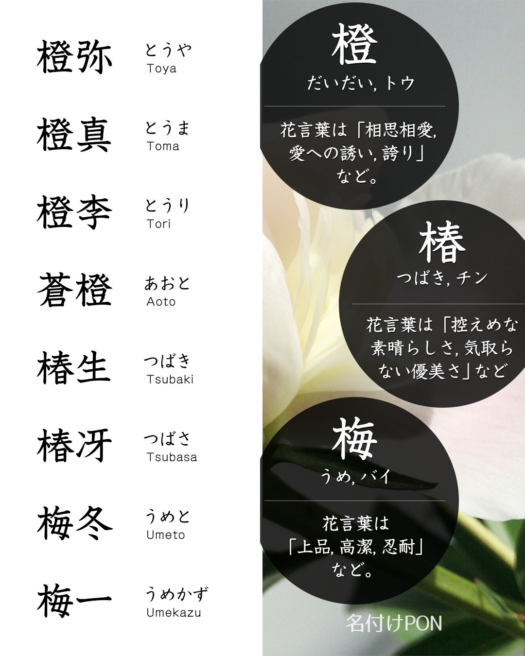 かっこいい名前 Twitter Search Twitter