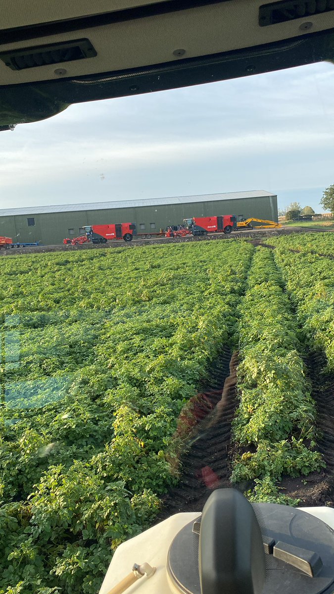 🚜Andrew Barwell🚜Ⓜ️🍗🍖🥓🥩⚽️💛🖤💛🖤💛🏆🥇🏆🥇 tweet media