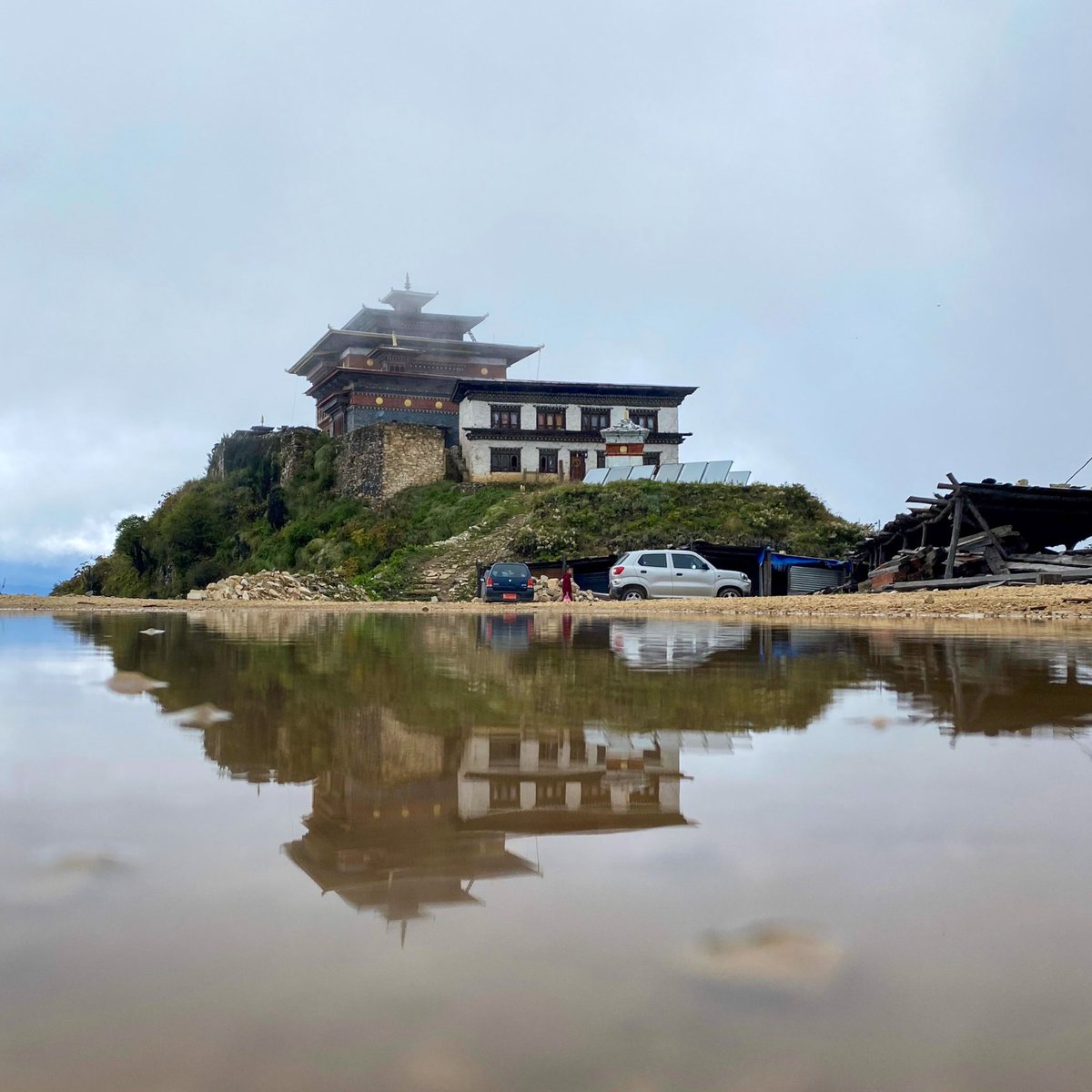 t_dsamurai's tweet photo. The majestic Neychen Dongkola ✨ https://t.co/92dbOv55u0