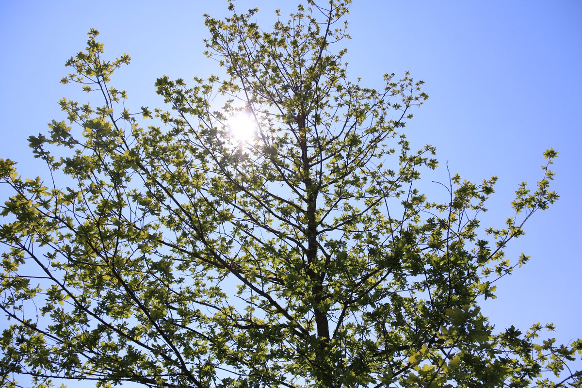 #TagdesTestaments: Ein Testament bietet die Chance, eine letzte, fortdauernde Geste der Wertschätzung oder des Dankes zu hinterlassen. Machen Sie daher Gebrauch von der unentgeltlichen Testamentsberatung: pestalozzi.ch/de/testamentsb…

#weiterwirken #kinderdorfpestalozzi